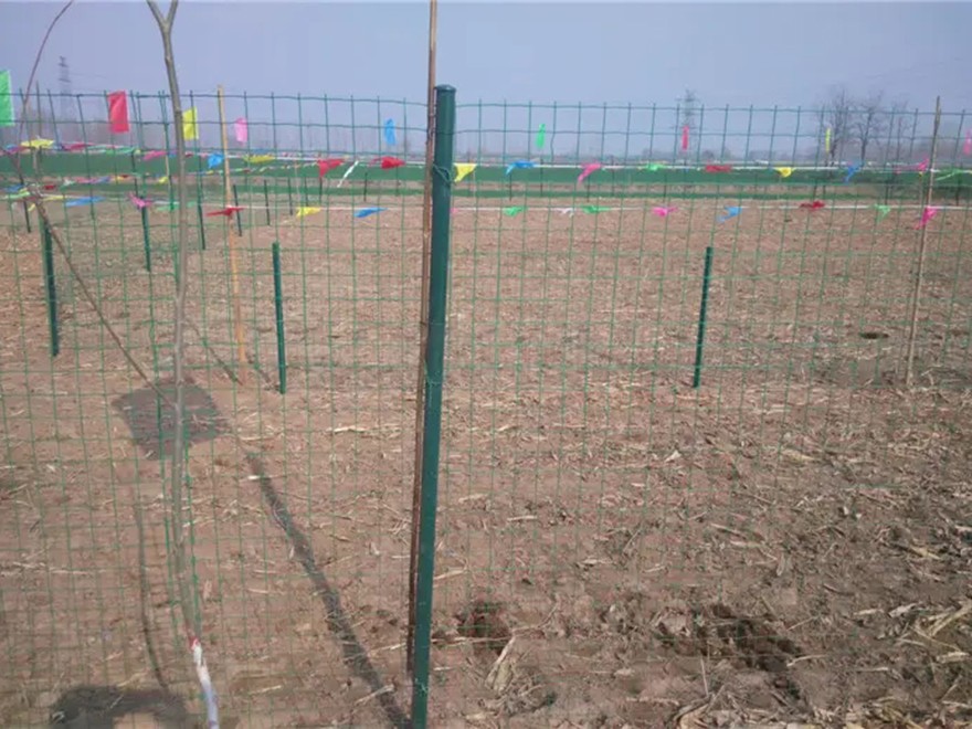 养殖护栏网
