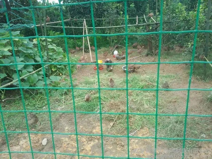 养殖护栏网
